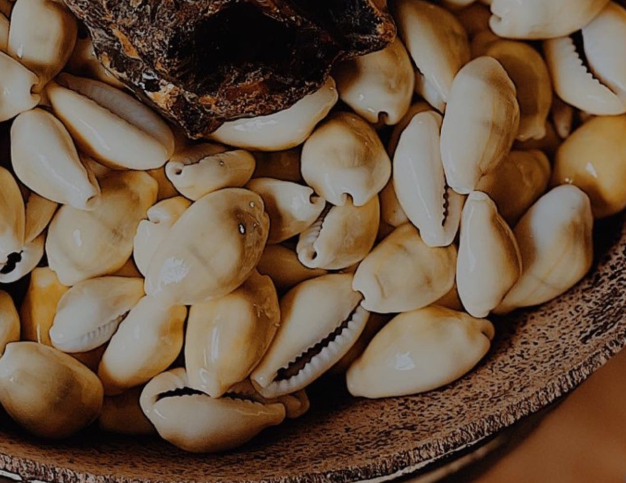 Unveiling-the-Wisdom-of-Cowrie-Shells-Decoding-Yes-No-and-Not-Right-Now Sage + Gold Roots