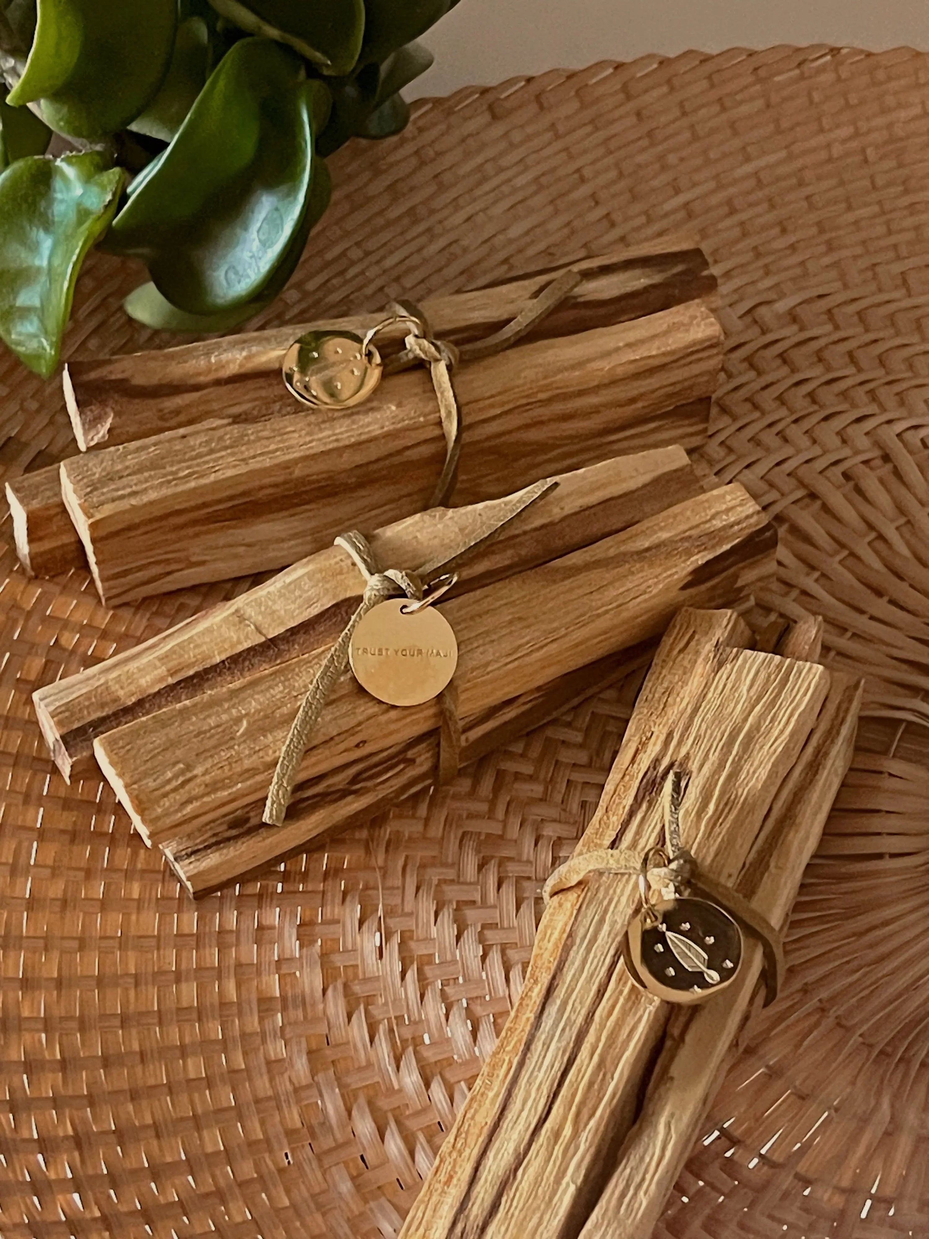 Holy Wood | Palo Santo Sage + Gold Roots
