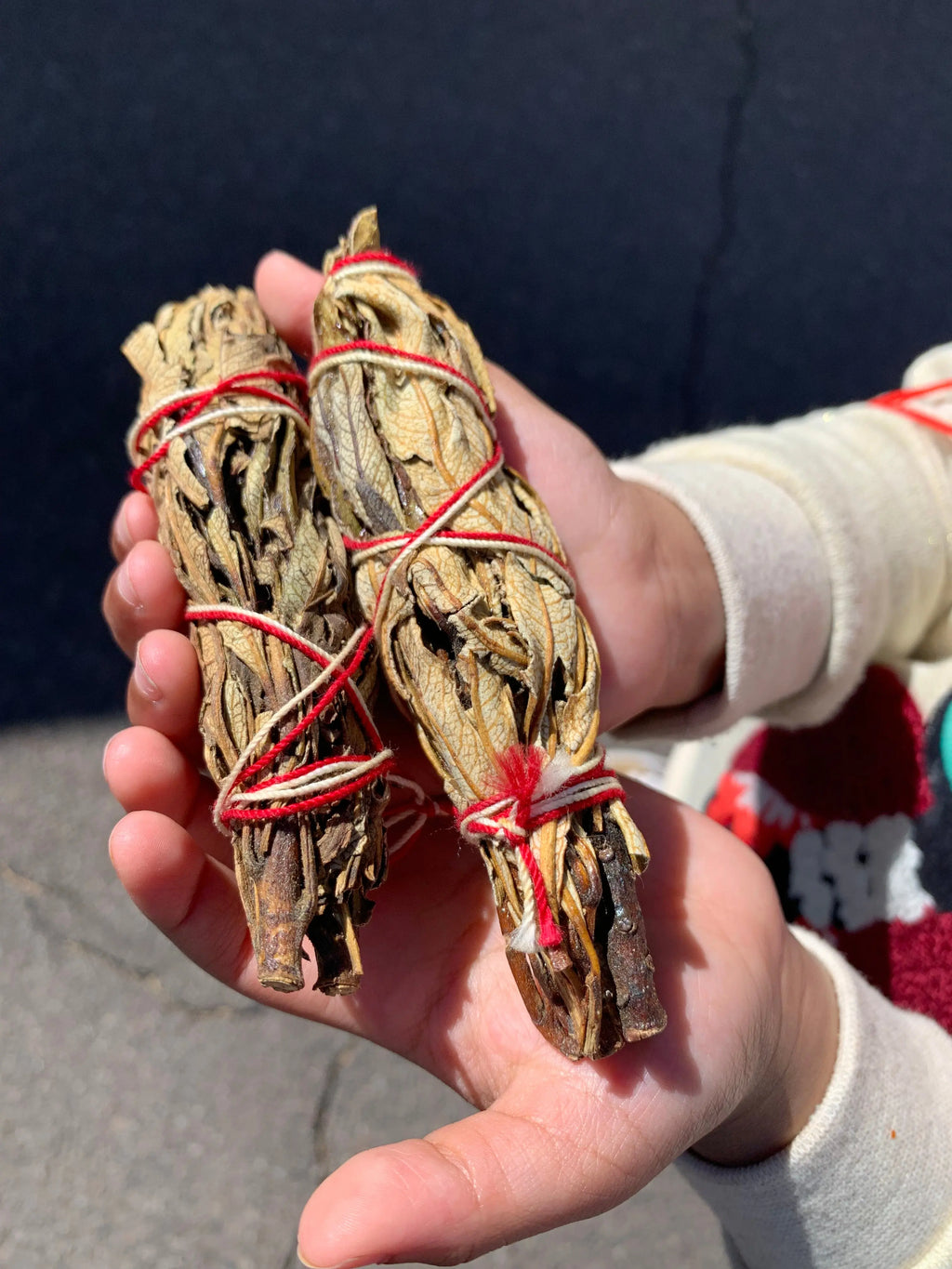 Yerba Santa -  Sage + Gold Roots